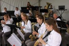 Dedemsfestival-1
